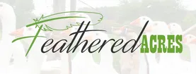 Feathered Acres