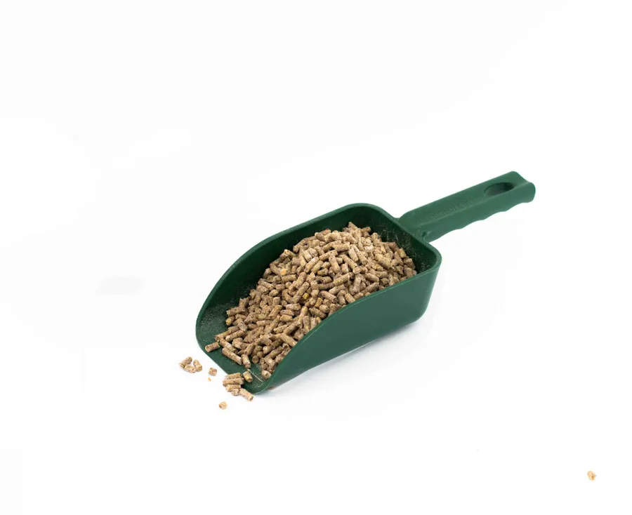 Veal Supplement