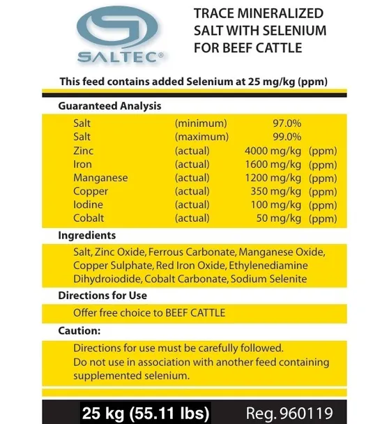 Trace Mineralized Salt with Selenium