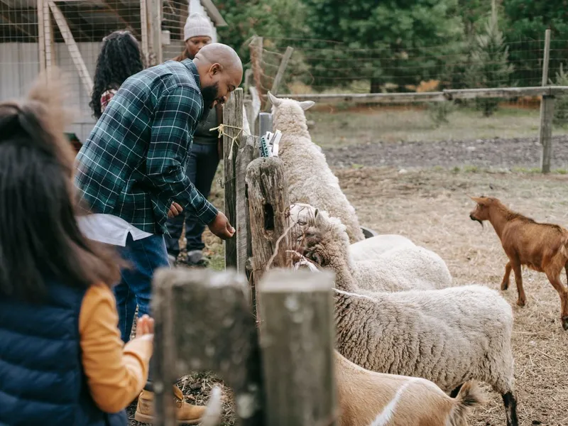 Chick delivery day at the store